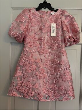 NEW GB Girls Size 7 Pink Floral Embroidered Party Spcial Occasion Dress